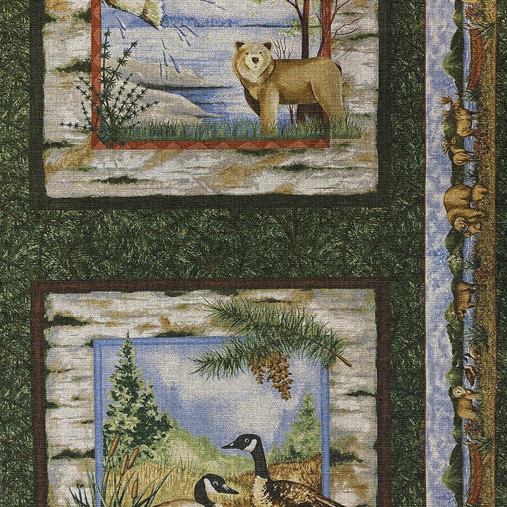 Tissu Coton - Ours et Canards