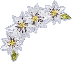 Patch Thermocollant -Fleur Edelweiss